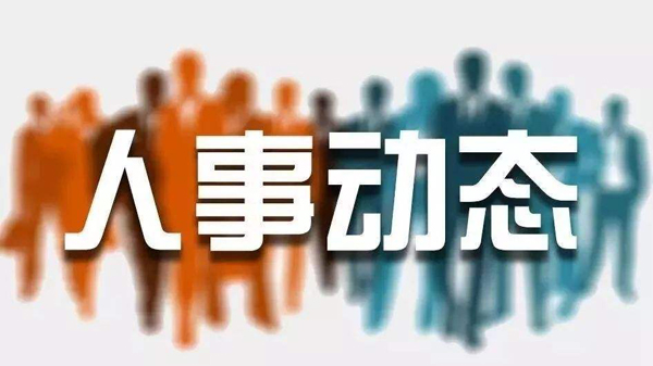 長治市人事任免信息解析，日常故事與任免動態(tài)