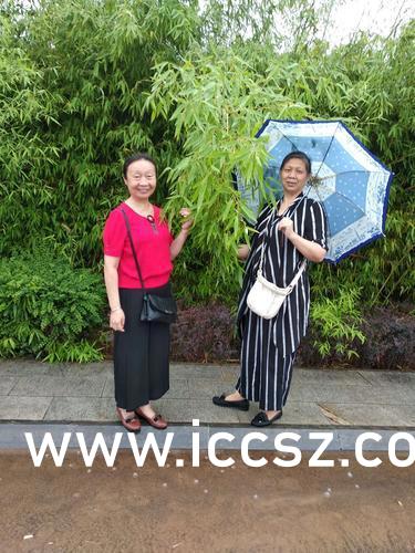 最新美女圖片，時代印記與文化的鏡像展現(xiàn)