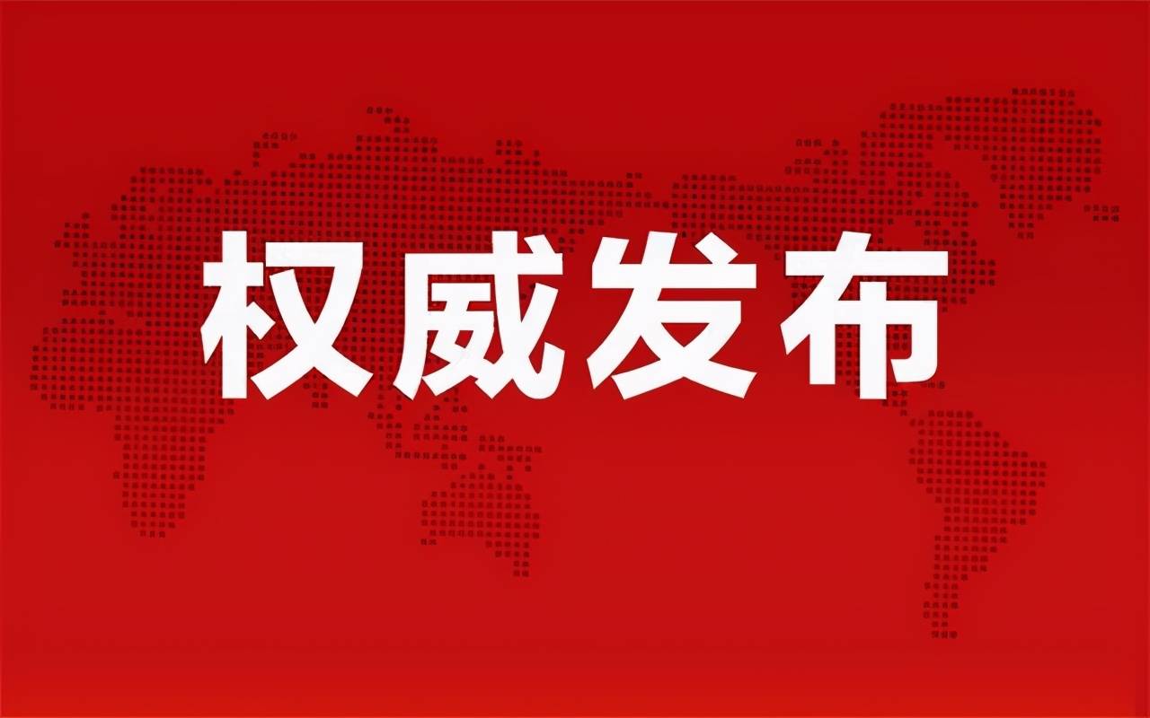 準(zhǔn)油股份秦勇最新動(dòng)態(tài)揭秘，股市之外的小日常趣事揭秘