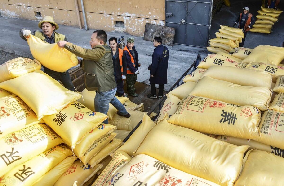 全國尿素最新價格，科技重塑生活下的新面貌