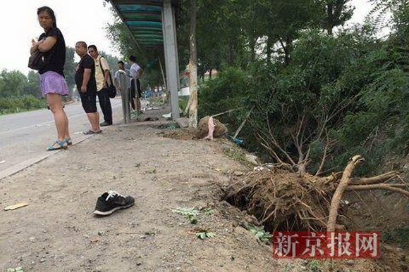 房山車禍真相揭秘，最新消息與各方觀點(diǎn)匯總