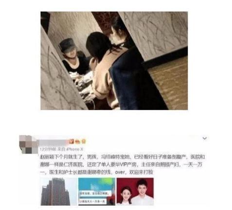 陳慧琳最新動態(tài)，科技點亮生活，巨星風采依舊獨特